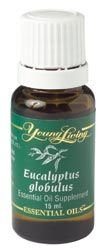 Young Living Essential Oils Eucalyptus Globulus 15 Ml Free Shipping