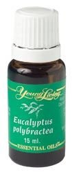 Young Living Essential Oils Eucalyptus Polybractea 15 Ml Free Shipping