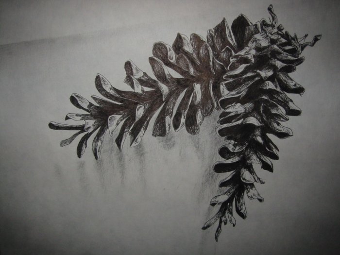 Cones