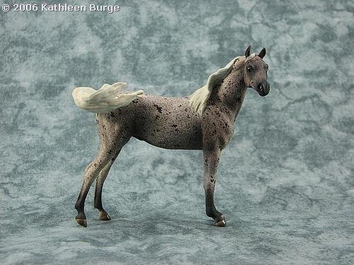 Mini Optime by Karen Gerhardt