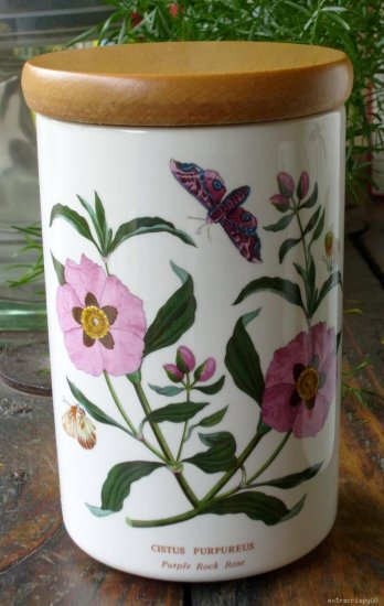 Portmeirion Botanic Garden Canister Purple Rock Rose