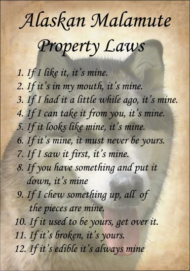 ALASKAN MALAMUTE PROPERTY LAWS DOG SIGN