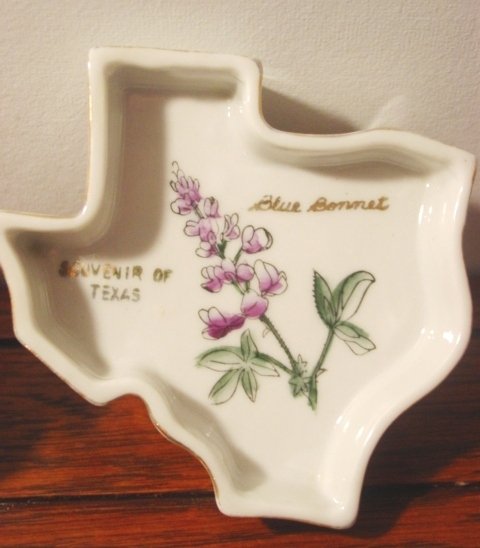 Texas vintage souvenir pin dish ashtray blue bonnets