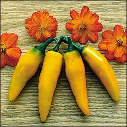 Bulgarian Carrot hot pepper seeds