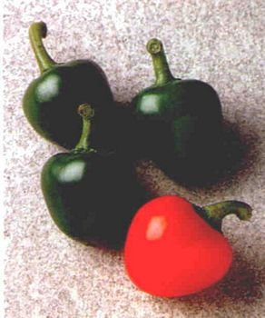 HOT RED CHERRY PEPPER SEEDS