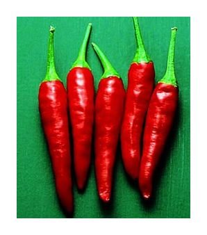 Tall Tai hot pepper seeds