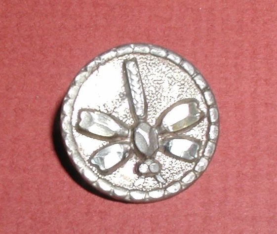 Victorian Brite Cut Pewter Dragonfly Button