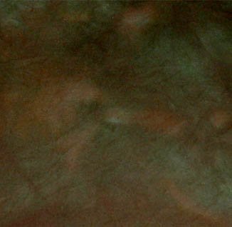 FOREST MOSS overdye wool for rug hooking -- Woolly Mammoth Woolens