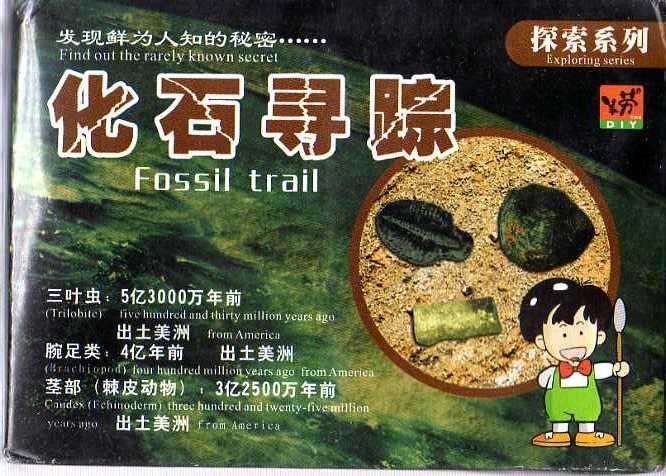 Dinosaur fossil kit: Trilobite, Brachiopod, Caudex + FREE SHIPPING