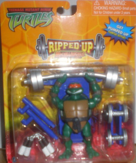 TEENAGE MUTANT NINJA TURTLES