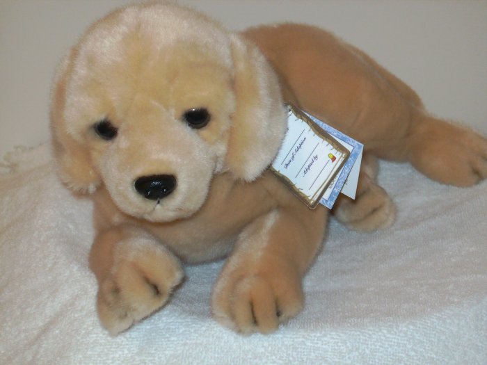 Aurora 12" Garth Golden Retriever