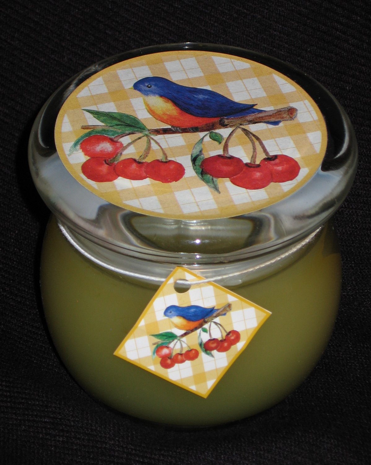 BIRD SONG Glass Jar Scented Candle – NEW