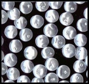 100 Silver Pearl Dangle Disk Glass Beads 8mm