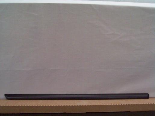 2005 2006 Nissan Altima (New) OEM Right Rear Door Moulding