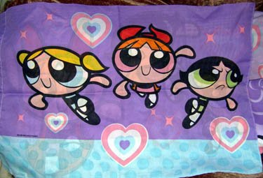 Powerpuff Girls Purple Twin Sheet Set w/ Valance & Case
