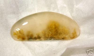 Rare Cream Colored Moss Agate Cab I think