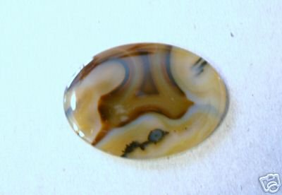 Awesome Large Montana Agate ? MUST SEE