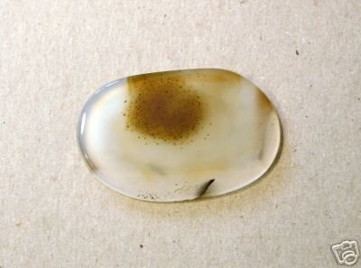 Huge Pokka Dot Agate ? MUST SEE