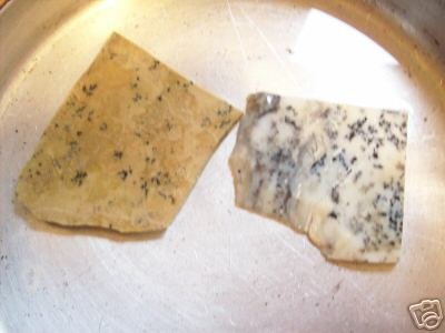 2 Pieces of Dendritic Jasper Rough Slabs Must See