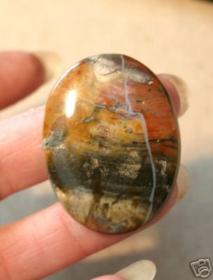 Petrified Wood Cab 1 1/2 inch by 1 inch Nice River