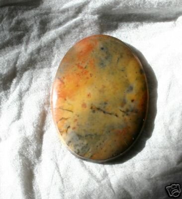 Rare Picture Jasper Cab Fall is here