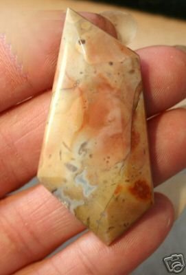 Awesome Freeform Jasper Cab Butterfly ?