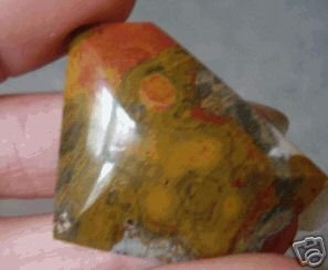 Petrified Wood Freeform Cab Wild Colors MUST SEE