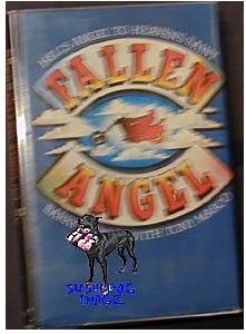 Fallen Angel Barry Mayson HB/DJ VG- Rare OOP Hells Angels