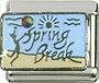 Spring Break 9MM Italian Charm