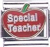 Special Teacher