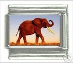 Cute Elephant Italian Charm