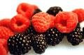 Three Nice Black Raspberry Plants! (Live Trees-- Ready to Plant)