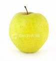 One Beautiful Golden Delicious Apple Tree!