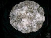 Rare Indiana Geode!! 5+ lbs..~~~~ Beautiful!