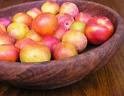One Burbank Plum Tree!!~~~(Japanese Plum)