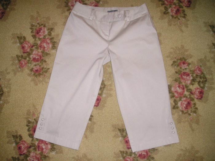 ANN TAYLOR PETITE PANTS SIZE 2 XS CROPPED SLIM