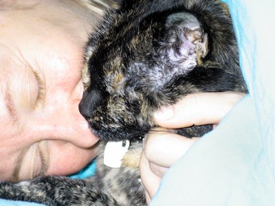 Animal Communication Reading 20-30 min.