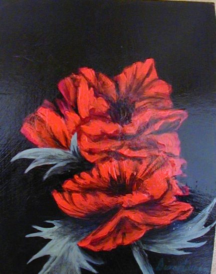 Red Poppies on Black