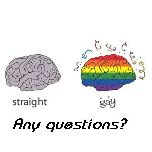 Any Questions 2 1/4 inch pin Gay Pride