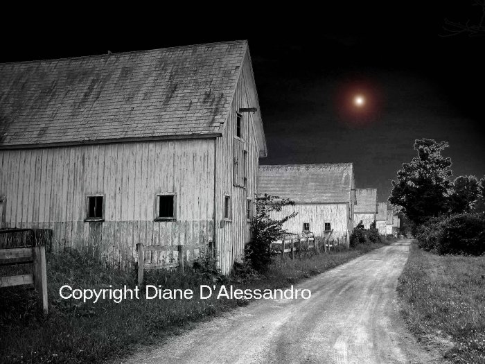 Sanford Farms Black and White Photography