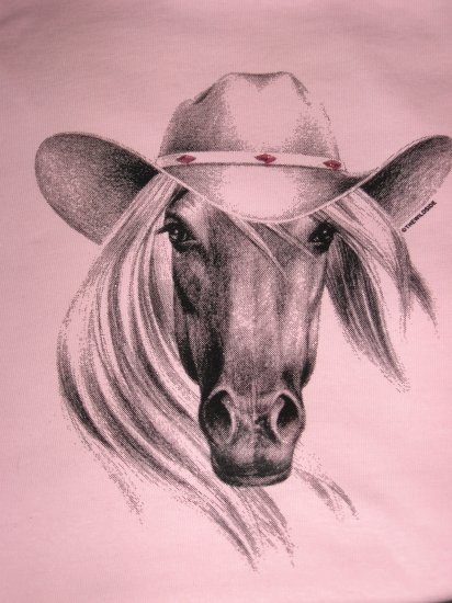 COWBOY HORSE