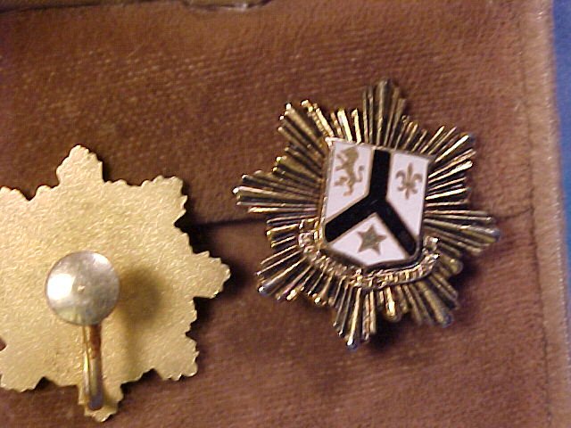 Lion Crown Crest Shield ~ Vintage Screwpost Earrings