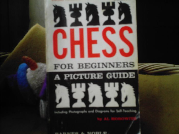 Chess For Beginners