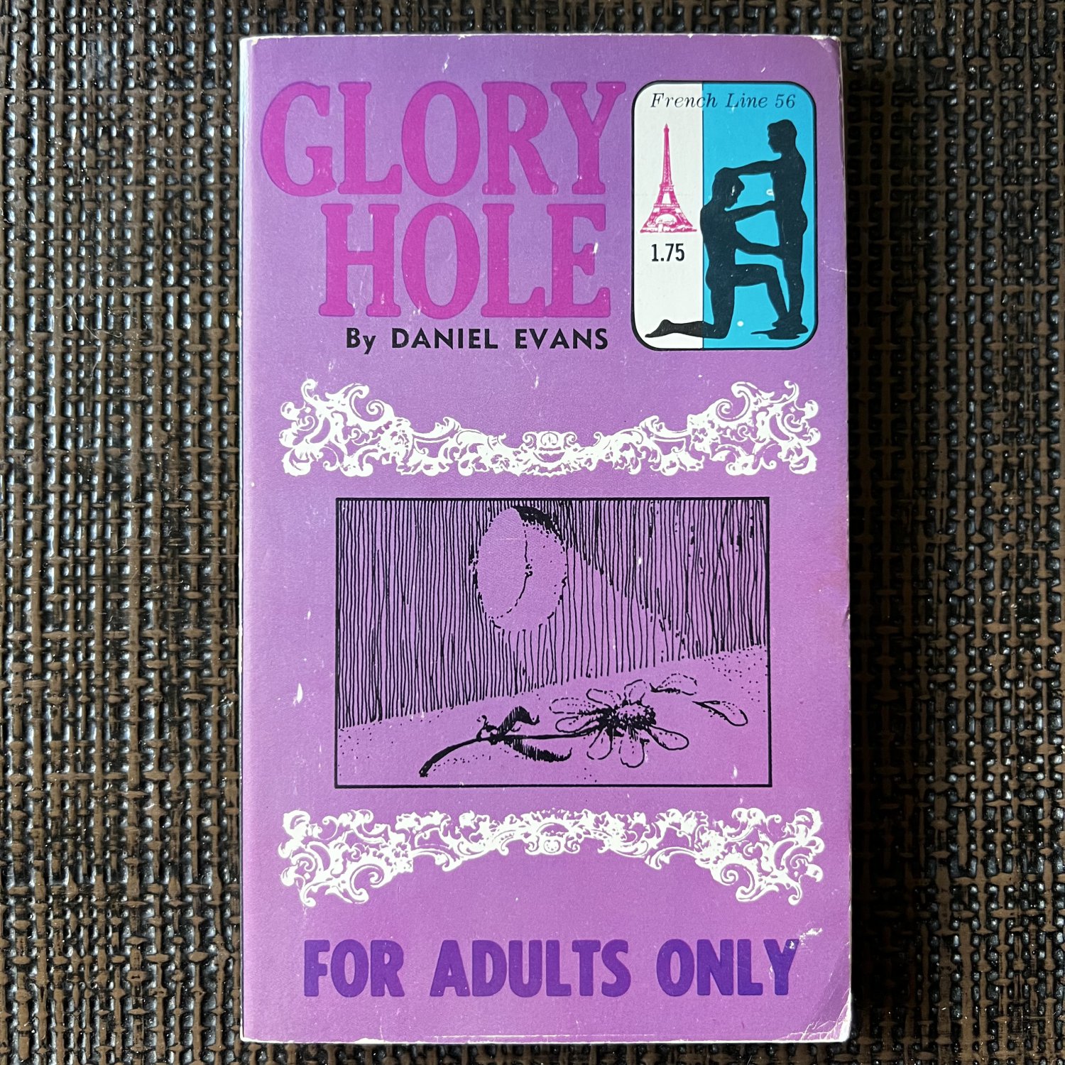 Unread Glory Hole Daniel Evans Pb Homosexual Gay Pulp Art Tea