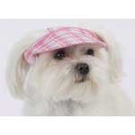 East Side Collection Madras Plaid Visors