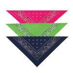 Aria Paisley Bandannas #DT221