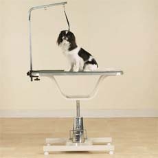 Master Equipment Hydraulic Grooming Table#TP602