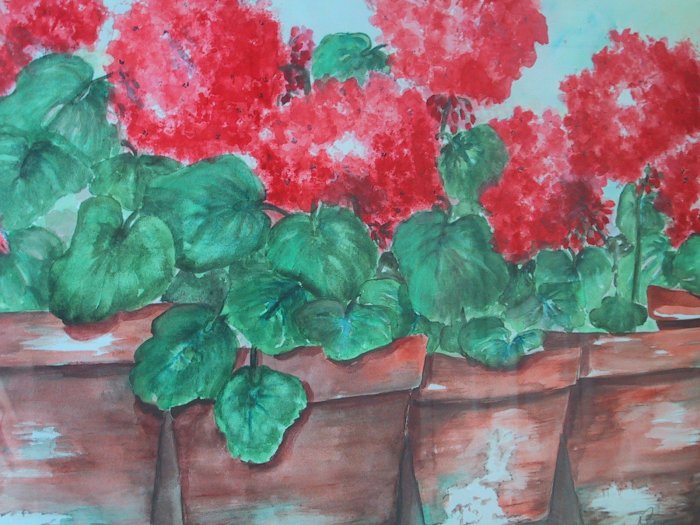 Window Garden