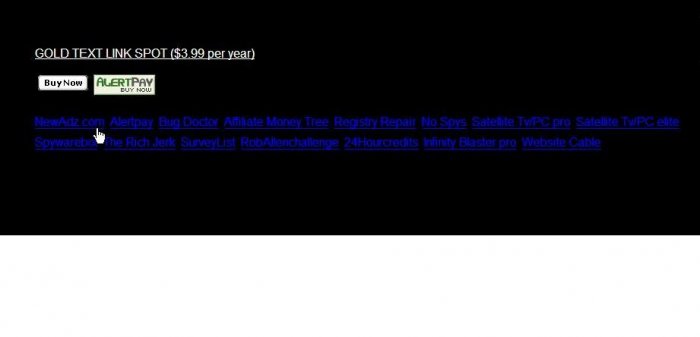 GOLD TEXT LINK SPOT ($3.99 per year for 10 years)