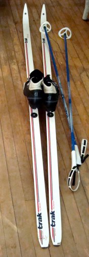 Cross country skis, bindings, boots/shoes, and poles LN